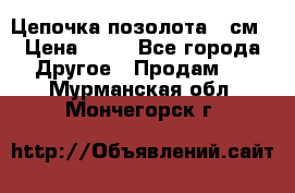 Цепочка позолота 50см › Цена ­ 50 - Все города Другое » Продам   . Мурманская обл.,Мончегорск г.